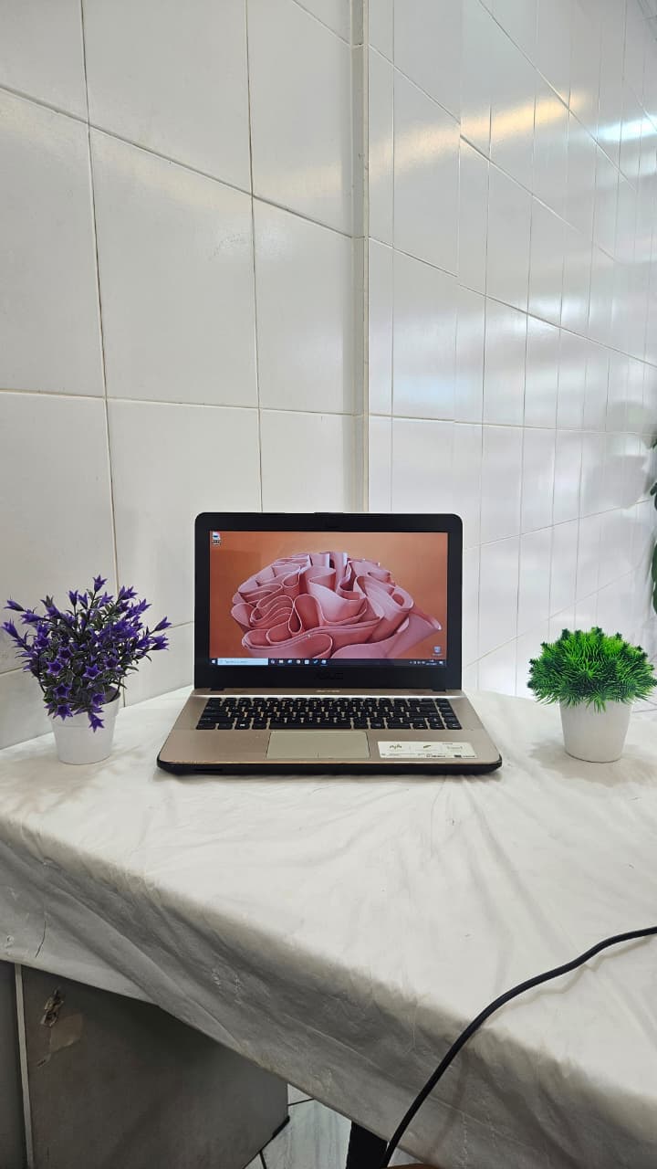 Asus Vivobook X441BA