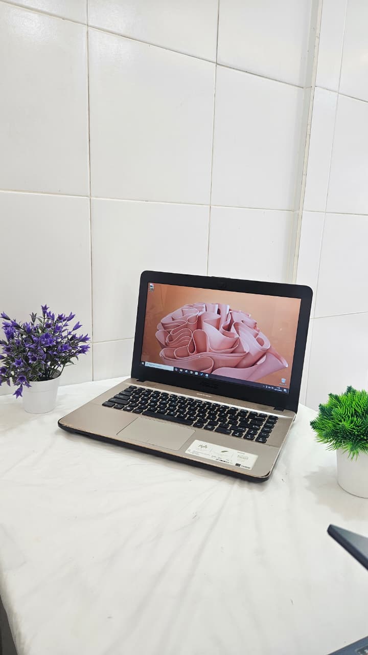 Asus Vivobook X441BA 5